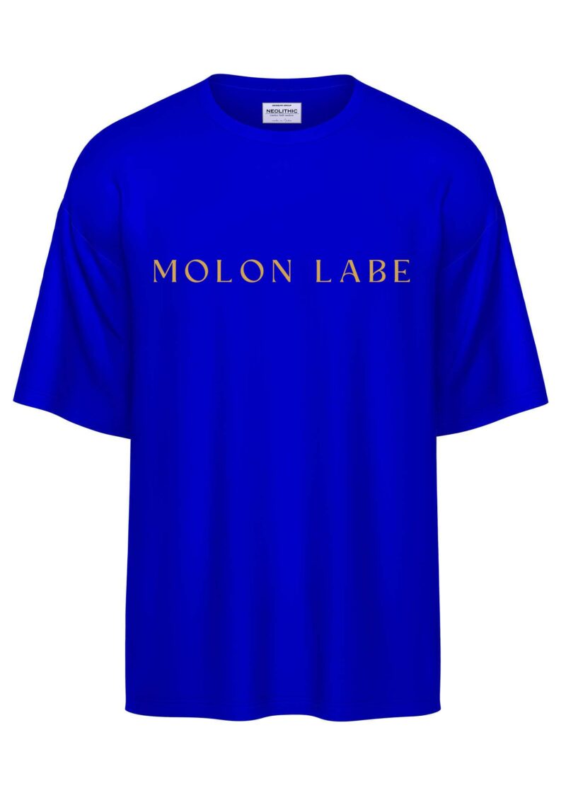 Spartan Warrior – Oversized T Shirt - Image 4