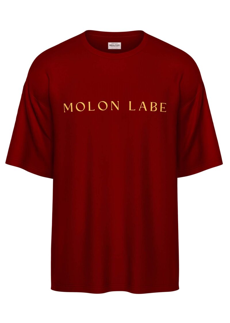 Spartan Warrior – Oversized T Shirt - Image 2