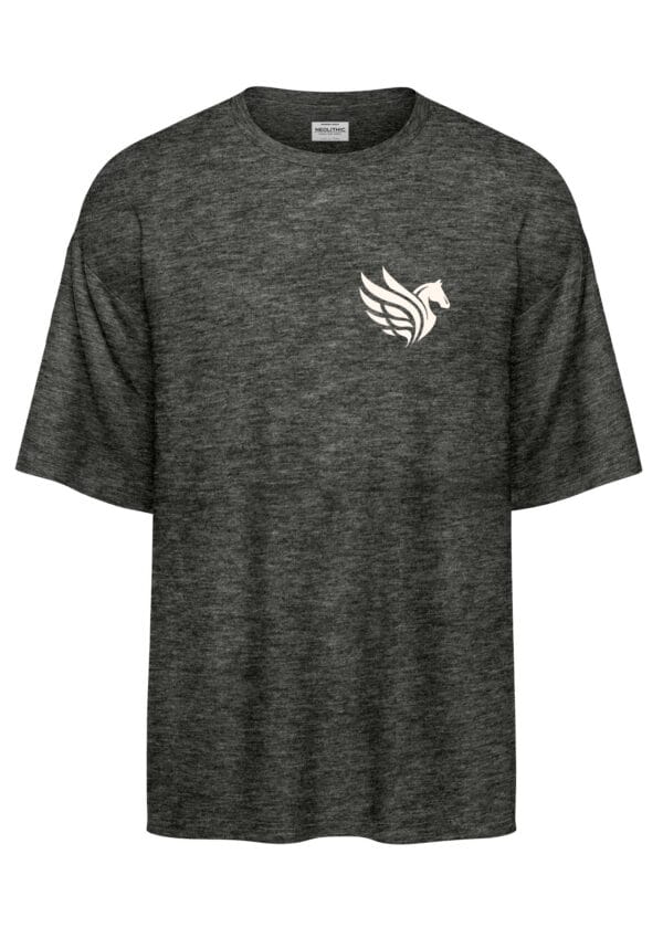 Pegasus – The Celestial Soar Oversized T Shirt - Image 2