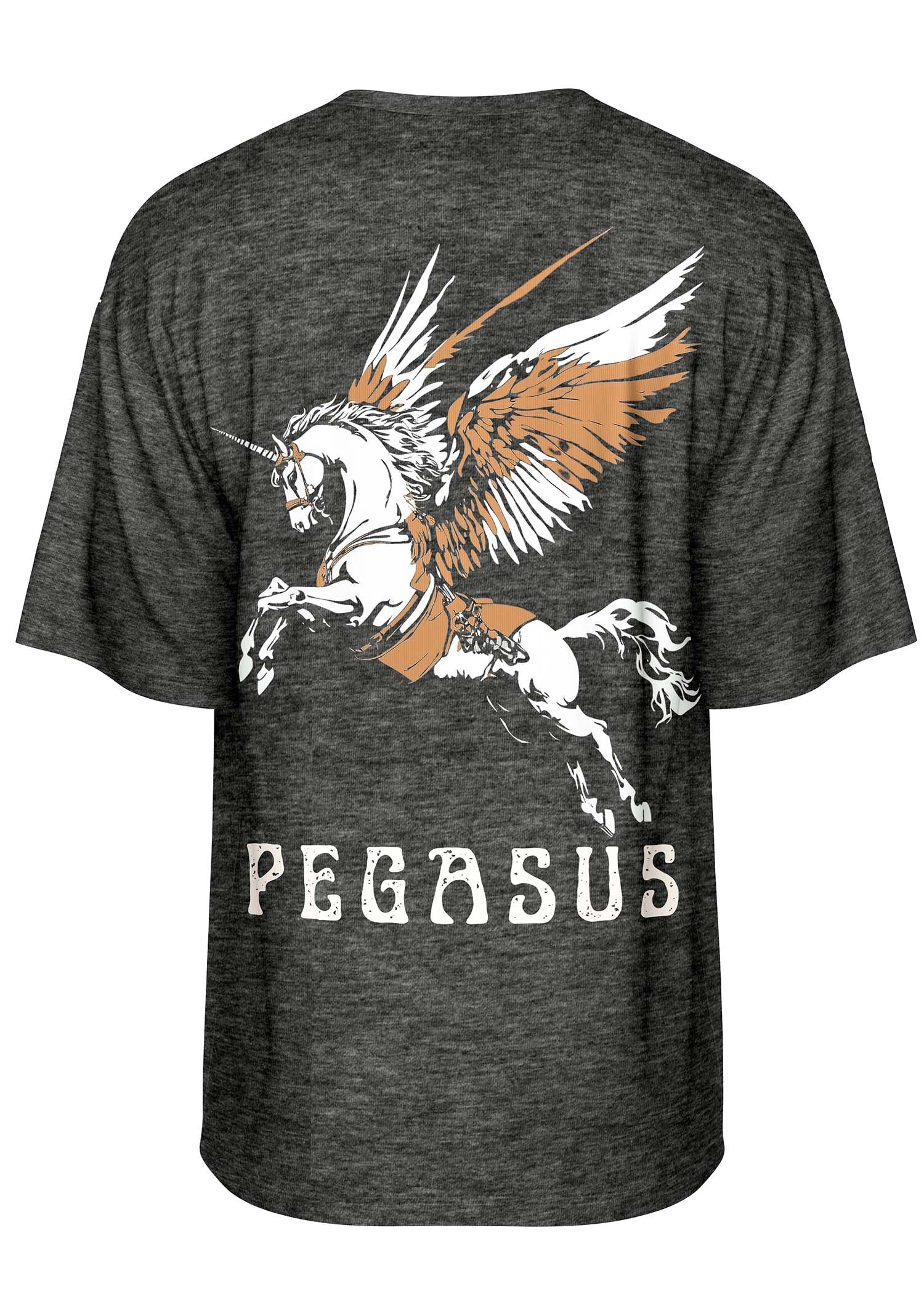 Pegasus – The Celestial Soar Oversized T Shirt