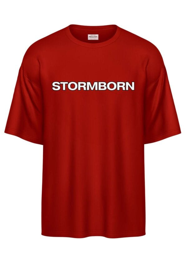 STORMBORN, Garuda Edition Oversized T-Shirt - Image 5