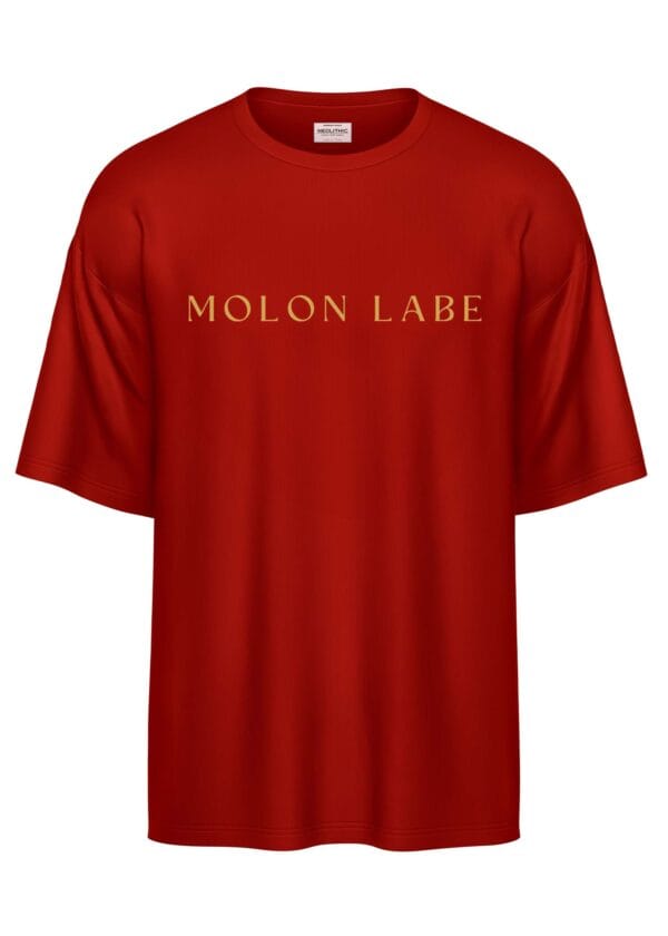 Spartan Warrior – Oversized T Shirt - Image 3