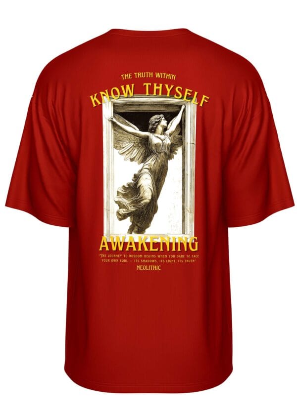 Know Thyself Oversized Maroon T-Shirt